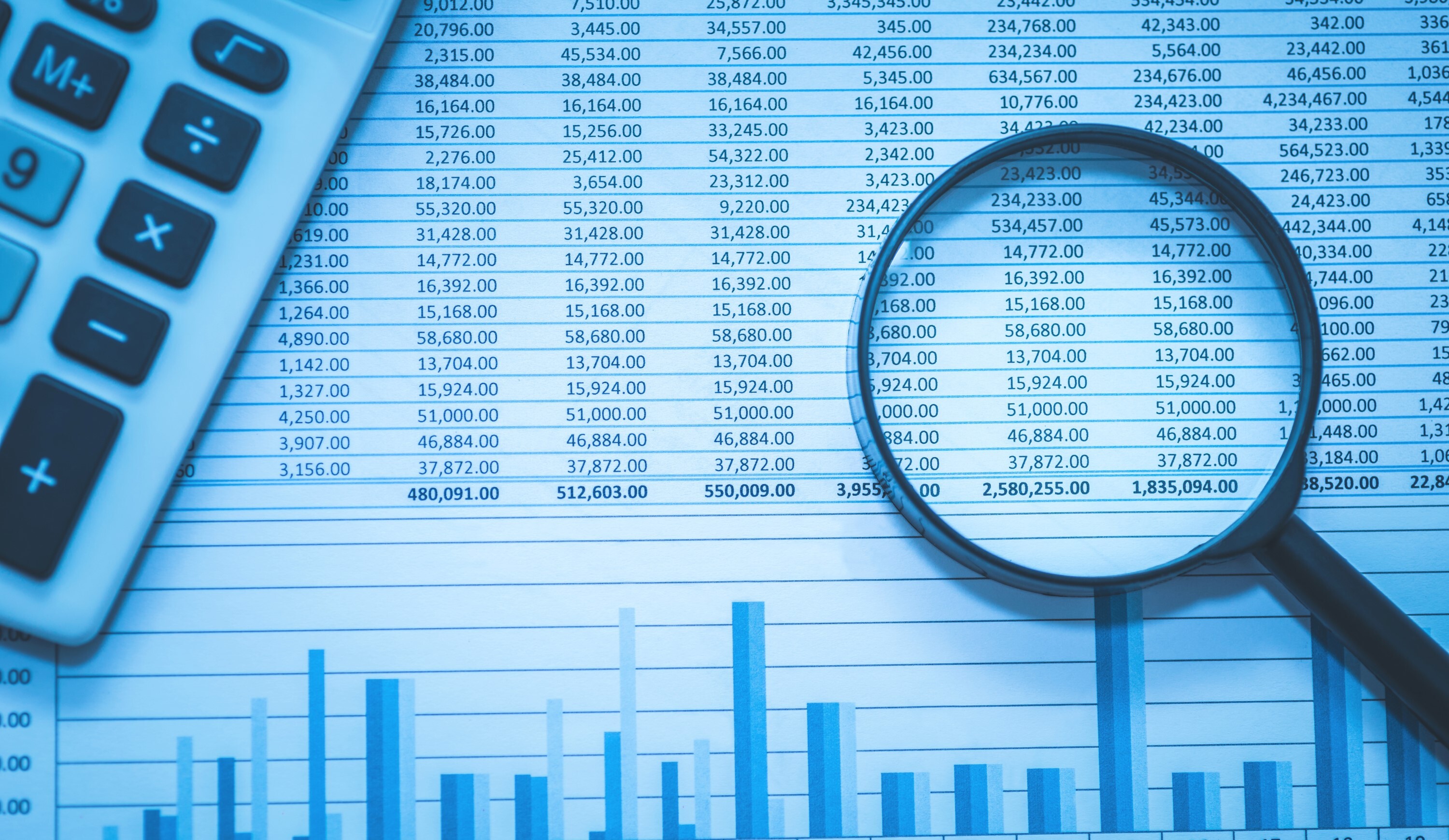 How Successful ITAM Helps Financial Companies Stand Up to an Audit